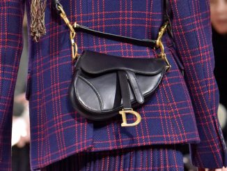 Saddle Bag: torna di moda la borsetta da sella marcata Dior
